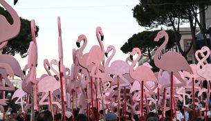 “Flamingot” rrisin pritshmëritë, diaspora drejt Tiranës për marshimin e 21-të
