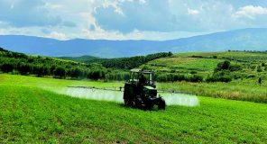 Bujqësia me luhatje: Rriten perimet dhe bimët mjekësore, bien gruri dhe frutat