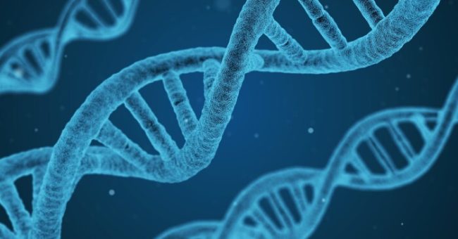 Individët e rrallë rezistentë ndaj HIV-it që mund të kontribuojnë në zbulimin e një kure
