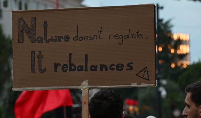 Manifesti i Protestës