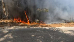 Zjarr masiv në Pyllin e Sodës, pesë vatra aktive në Vlorë