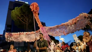 BBC përshkruan Revolucionin e Flamingove dhe zgjerimin e protestave