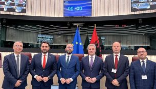 Opozita: Eurodeputetët mbështetën 35 amendamentet tona