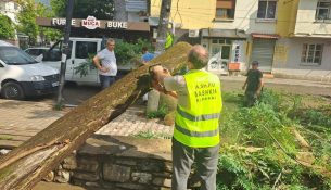 Stuhia e fortë godet Elbasanin, rrëzohen disa pemë