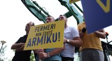 Analizat e AUV-it: Gati çdo i pesti produkt qumështi me përbërës të padeklaruar