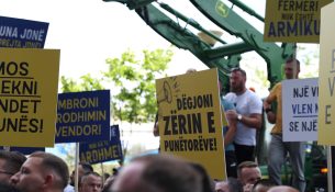 Nga rezultatet e AUV-it tek reagimet: Çfarë dihet deri më tani për rastin e “Vitës”?