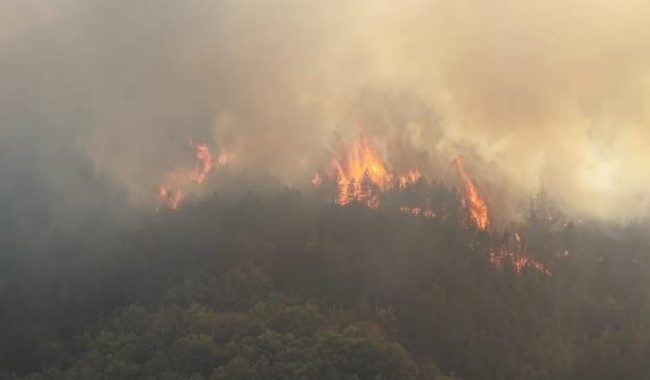 Flakë apokaliptike në Gojan të Pukës, jepet urdhri i evakuimit