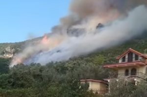 Zjarr i fuqishëm në Krujë, flakët rrezikojnë banesat dhe bizneset