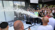 Vaji i palmës në Kosovë: A ka ligj që e ndalon apo e kufizon?