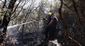 Përmirësohet situata e zjarreve, 4 vatra vijojnë të jenë aktive