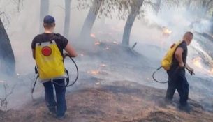 Vala e zjarreve përfshin disa zona të vendit, digjen hektarë pyje e ullishte