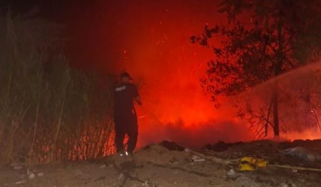 Zjarr gjatë natës në Cërrik, flakët përfshijnë një sipërfaqe të gjerë me shkurre