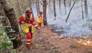 Forcat Tokësore vijojnë ndërhyrjet në Mallakastër e Klos për izolimin e zjarreve