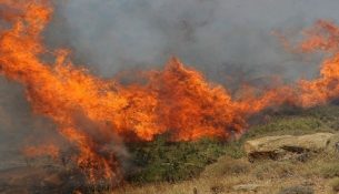 Zjarret në Belgjikë përhapen drejt Gjermanisë