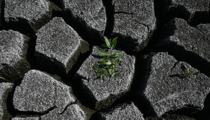 Aseti strategjik që Evropa ka anashkaluar