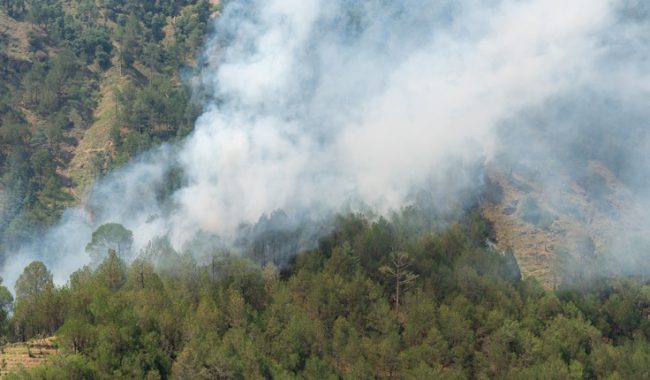 Shqipëria planifikon park eolik në zonën ende të përfshirë nga zjarret
