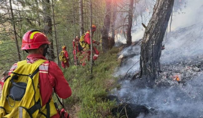Forca Tokësore vijon operacionet për shuarjen e zjarreve në disa zona të vendit