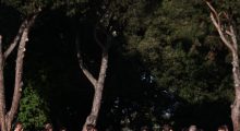 Sfida e rikuperimit