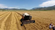 “Do të vijmë me traktorë te dera e ministrisë”, bujqit kërkojnë subvencionet